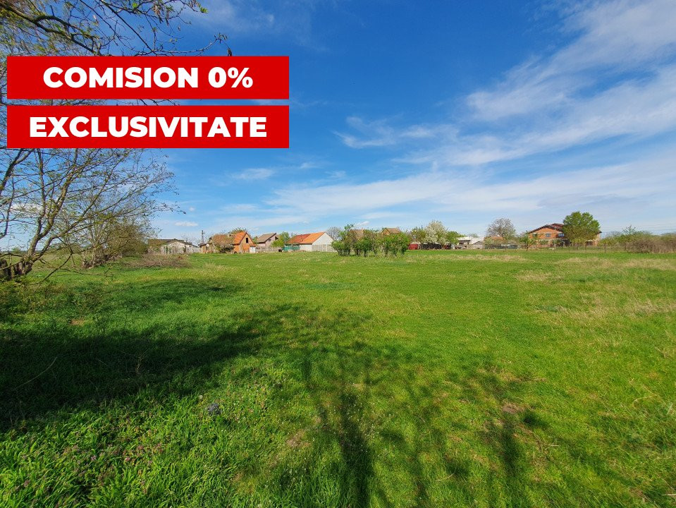 Comision 0% Teren intravilan 3000 mp in Padureni Jebel 7, foxfort.ro