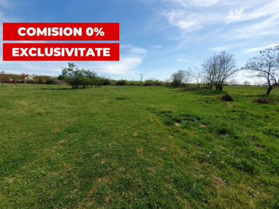 Comision 0% Teren intravilan 3000 mp in Padureni Jebel imagine mica 3, foxfort.ro