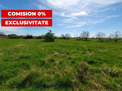 Comision 0% Teren intravilan 3000 mp in Padureni Jebel imagine mica 4, foxfort.ro