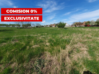 Comision 0% Teren intravilan 3000 mp in Padureni Jebel imagine mica 6, foxfort.ro