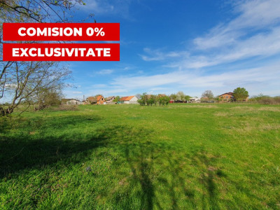 Comision 0% Teren intravilan 3000 mp in Padureni Jebel imagine mica 7, foxfort.ro