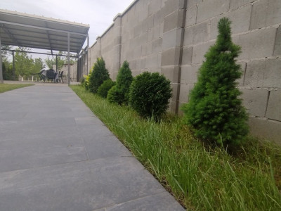 Duplex 5 camere, mobilat - utilat, Timisoara - Zona Lipovei imagine mica 4, foxfort.ro