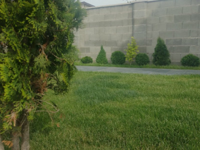 Duplex 5 camere, mobilat - utilat, Timisoara - Zona Lipovei imagine mica 25, foxfort.ro