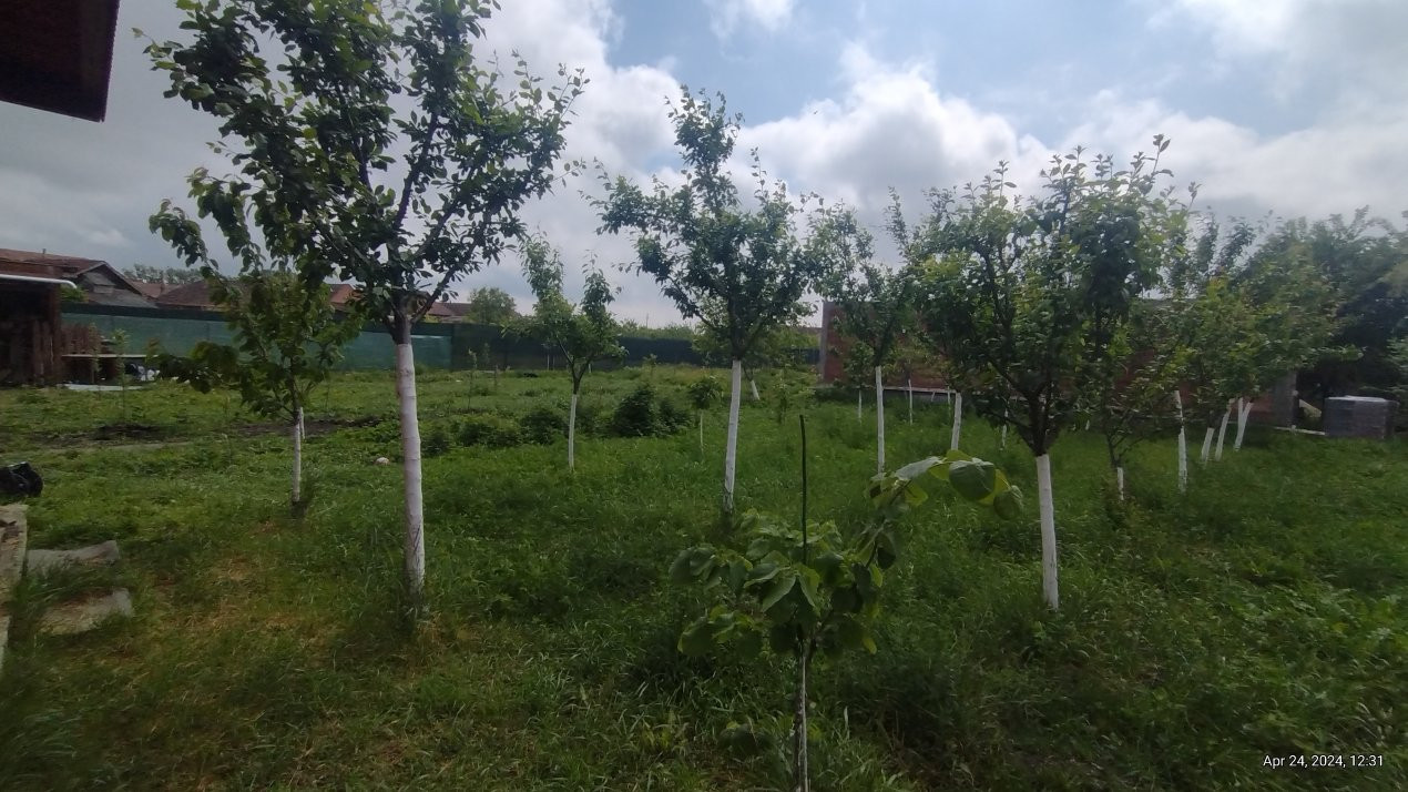 Casa individuala 3 camere, Sacalaz- Cabana cu Semineu 13, foxfort.ro