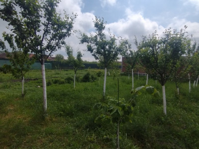 Casa individuala 3 camere, Sacalaz- Cabana cu Semineu imagine mica 13, foxfort.ro