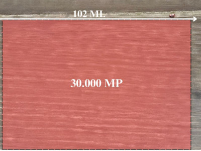 COMISION 0% Teren Extravilan 30.000 mp, front 102 ml, zona Dunca imagine mica 2, foxfort.ro