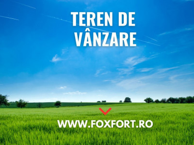  Teren intravilan de 10.000 mp de vanzare, zona Calea Sagului imagine mica 4, foxfort.ro