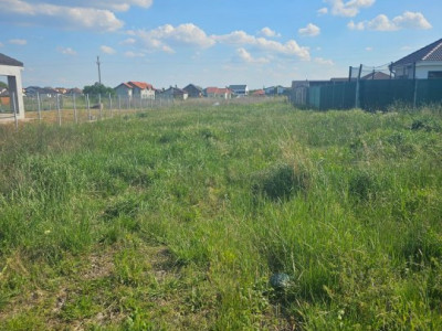 Teren intravilan de 817 mp, zona Sanandrei imagine mica 2, foxfort.ro