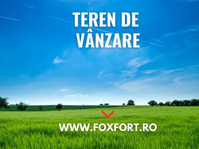 Teren intravilan de 817 mp, zona Sanandrei imagine mica 3, foxfort.ro