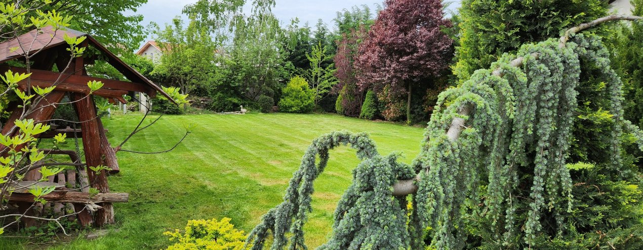 COMISION 0% Casa individuala cu 5 camere si teren de 792 mp, zona Mosnita Noua! 2, foxfort.ro