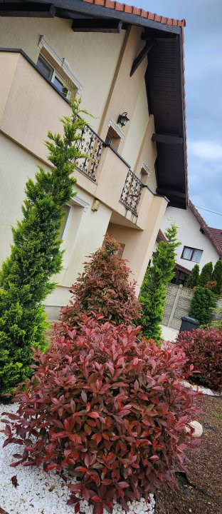 COMISION 0% Casa individuala cu 5 camere si teren de 792 mp, zona Mosnita Noua! 29, foxfort.ro