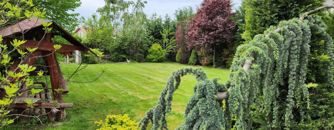 COMISION 0% Casa individuala cu 5 camere si teren de 792 mp, zona Mosnita Noua! 31, foxfort.ro