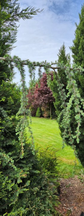 COMISION 0% Casa individuala cu 5 camere si teren de 792 mp, zona Mosnita Noua! 32, foxfort.ro