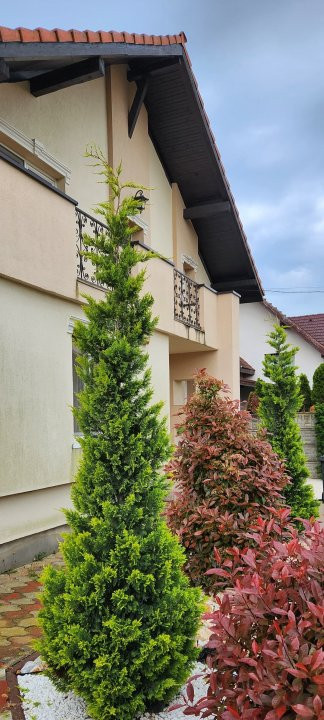 COMISION 0% Casa individuala cu 5 camere si teren de 792 mp, zona Mosnita Noua! 33, foxfort.ro