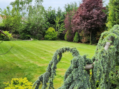 COMISION 0% Casa individuala cu 5 camere si teren de 792 mp, zona Mosnita Noua! imagine mica 2, foxfort.ro