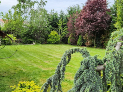 COMISION 0% Casa individuala cu 5 camere si teren de 792 mp, zona Mosnita Noua! imagine mica 31, foxfort.ro