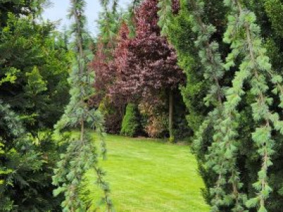 COMISION 0% Casa individuala cu 5 camere si teren de 792 mp, zona Mosnita Noua! imagine mica 32, foxfort.ro