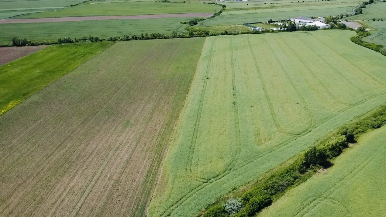 COMISION 0% Oportunitate de investitie in Sacalaz: Teren Extravilan de 9.900MP 2, foxfort.ro