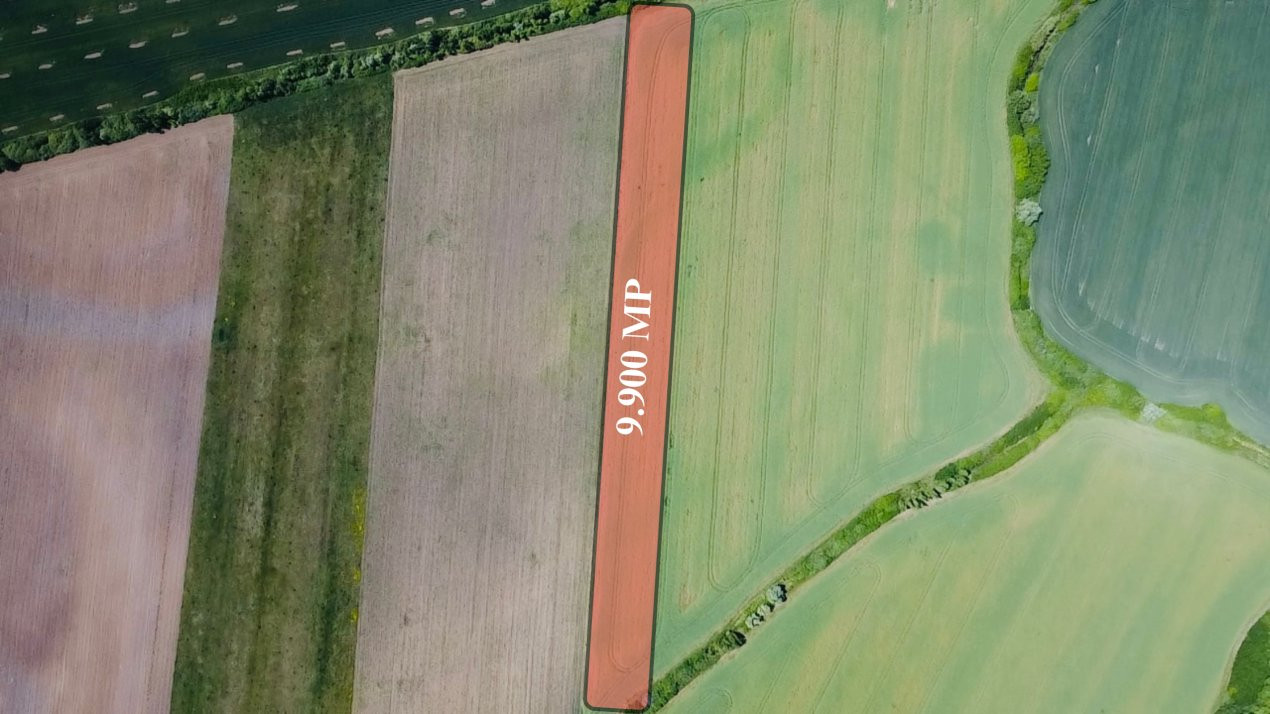 COMISION 0% Oportunitate de investitie in Sacalaz: Teren Extravilan de 9.900MP 3, foxfort.ro