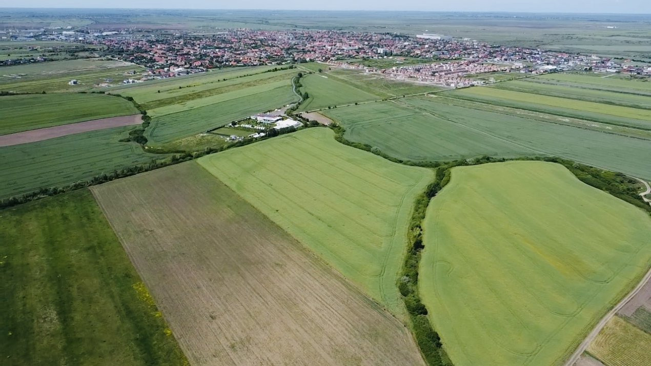 COMISION 0% Oportunitate de investitie in Sacalaz: Teren Extravilan de 9.900MP 4, foxfort.ro