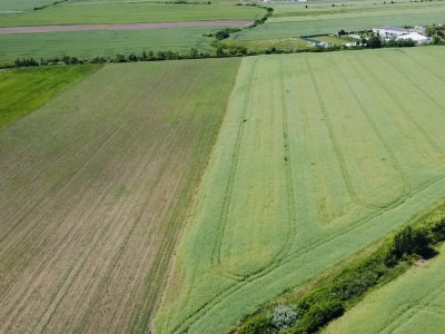 COMISION 0% Oportunitate de investitie in Sacalaz: Teren Extravilan de 9.900MP imagine mica 2, foxfort.ro