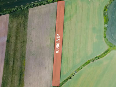 COMISION 0% Oportunitate de investitie in Sacalaz: Teren Extravilan de 9.900MP imagine mica 3, foxfort.ro