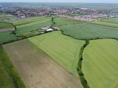 COMISION 0% Oportunitate de investitie in Sacalaz: Teren Extravilan de 9.900MP imagine mica 4, foxfort.ro