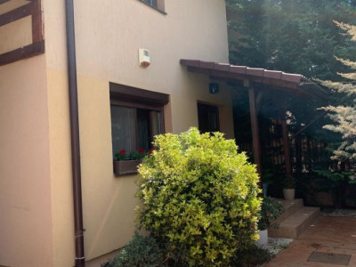 Casa individuala cu 6 camere si piscina, zona Dumbravita imagine mica 5, foxfort.ro