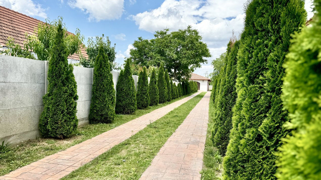 COMISION 0% Casa in stil mediteranean in Sag | 5 Camere 12, foxfort.ro