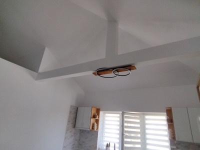 Casa individuala cu 4 camere, Sacalaz - Pivnita la demisol cu 5 incaperi imagine mica 12, foxfort.ro