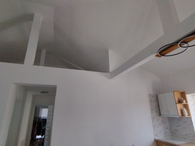 Casa individuala cu 4 camere, Sacalaz - Pivnita la demisol cu 5 incaperi imagine mica 13, foxfort.ro