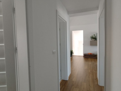 Casa individuala cu 4 camere, Sacalaz - Pivnita la demisol cu 5 incaperi imagine mica 18, foxfort.ro