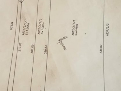 COMISION 0% Teren extravilan 2 hectare, zona Becicherecul Mic
