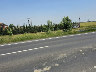 COMISION 0% Teren extravilan 2 hectare, zona Becicherecul Mic