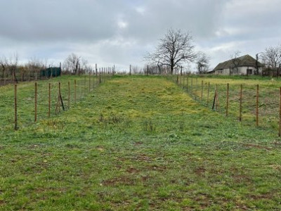 COMISION 0% Duplex 3 camere si teren generos - Cornesti imagine mica 4, foxfort.ro