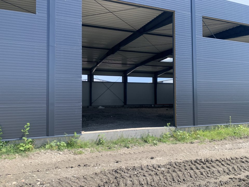 Hala de inchiriat cu platforma betonata de 1334 mp, zona Sanandrei 7, foxfort.ro