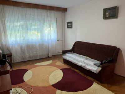 Apartamente de vanzare Timisoara Olimpia-Stadion imagine mica 5