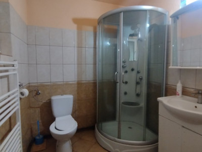 Casa individuala 6 camere, Sanmihaiu Roman - Garaj, anexe, panouri fotovoltaice imagine mica 11, foxfort.ro