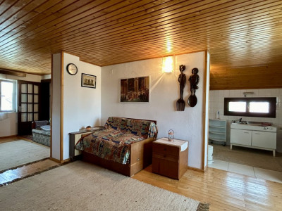 COMISION 0% Casa individuala cu 11 camere si 6 bai, zona Brancoveanu imagine mica 20, foxfort.ro