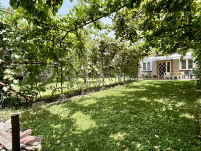 COMISION 0% Casa individuala cu 11 camere si 6 bai, zona Brancoveanu imagine mica 27, foxfort.ro