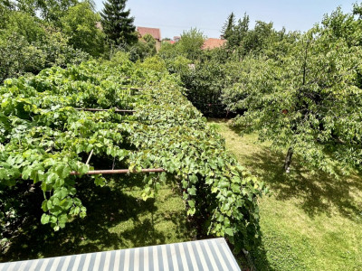 COMISION 0% Casa individuala cu 11 camere si 6 bai, zona Brancoveanu imagine mica 31, foxfort.ro