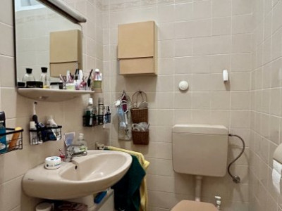 COMISION 0% Casa individuala cu 11 camere si 6 bai, zona Brancoveanu imagine mica 35, foxfort.ro