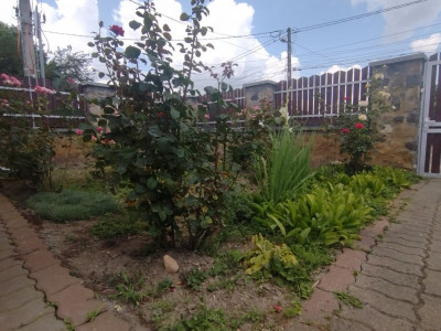 Casa individuala 4 camere, Zona Freidorf - Garaj, 2 fronturi stradale imagine mica 10, foxfort.ro