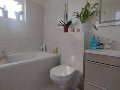 Duplex 3 camere, Torontalului - Curte amenajata, foisor imagine mica 7, foxfort.ro