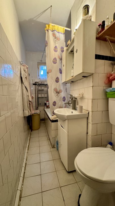 Apartamente de vanzare Timisoara 5