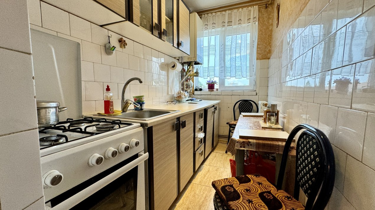 Apartamente de vanzare Timisoara 7