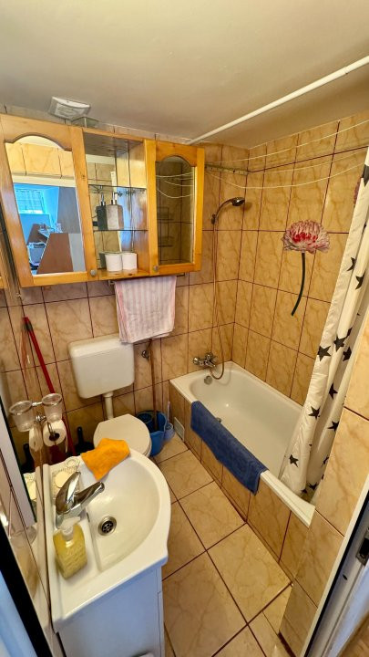 Apartamente de vanzare Timisoara 4