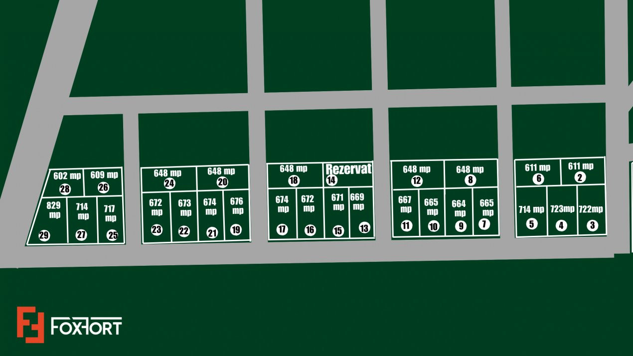 Teren intravilan in Sacalaz - Oportunitate de investitie 2, foxfort.ro