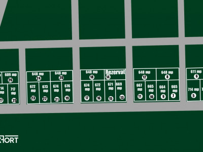Teren intravilan in Sacalaz - Oportunitate de investitie imagine mica 2, foxfort.ro