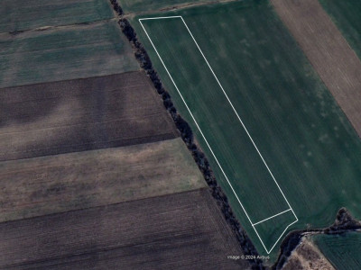 Teren intravilan in Sacalaz - Oportunitate de investitie imagine mica 3, foxfort.ro